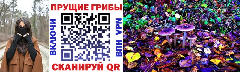 Псилоцибиновые грибы Psilocybe  ссылка на мегу ТОР  Бабаево 